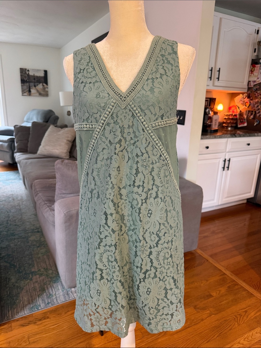 Francesca's Collections Lace V-Neck Sleeveless Dress in Sage